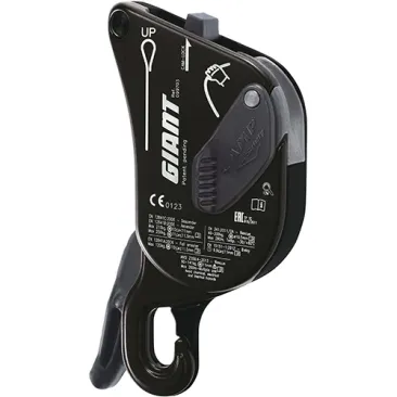 CAMP | Giant Descender